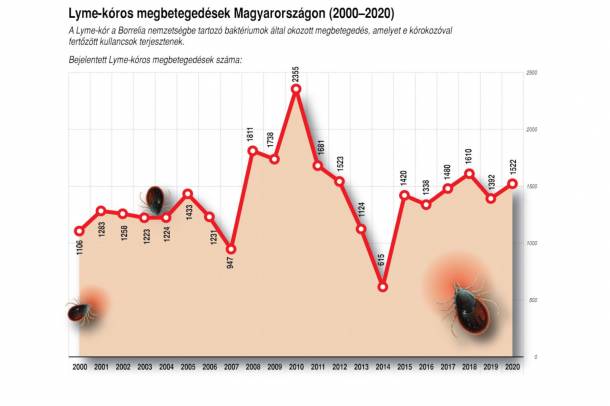 Lyme-kóros esetek Magyarországon
Forrás: mti.hu
Szerző: MTI