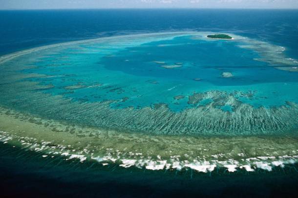 A korallzátonyok szémos élőlénynek biztosítanak élőhelyet
Forrás: www.flickr.com
Szerző: Lock the Gate Alliance