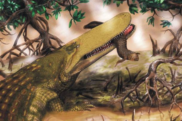 Az osztrák területen egykor ősi krokodilfajok is éltek (Képünk illusztráció!)
Forrás: commons.wikimedia.org
Szerző: Henry P. Tsai