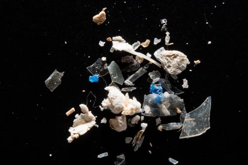 Egyre több műanyag úszik a Tiszában