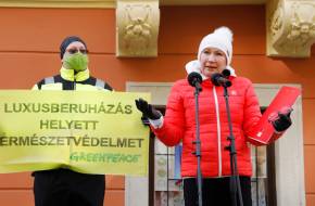 Visszavonták a Fertőre kiírt közbeszerzési eljárást – Udvaros Dorottyával ünnepeltek a civilek Sopronban