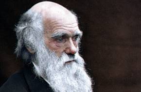 Előkerültek Darwin ellopott naplói - Visszacsempészték őket a könvytárba