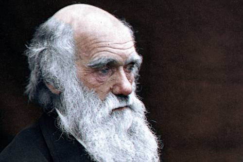 Előkerültek Darwin ellopott naplói - Visszacsempészték őket a könvytárba