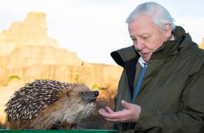 Királyi kitüntetést kapott David Attenborough
