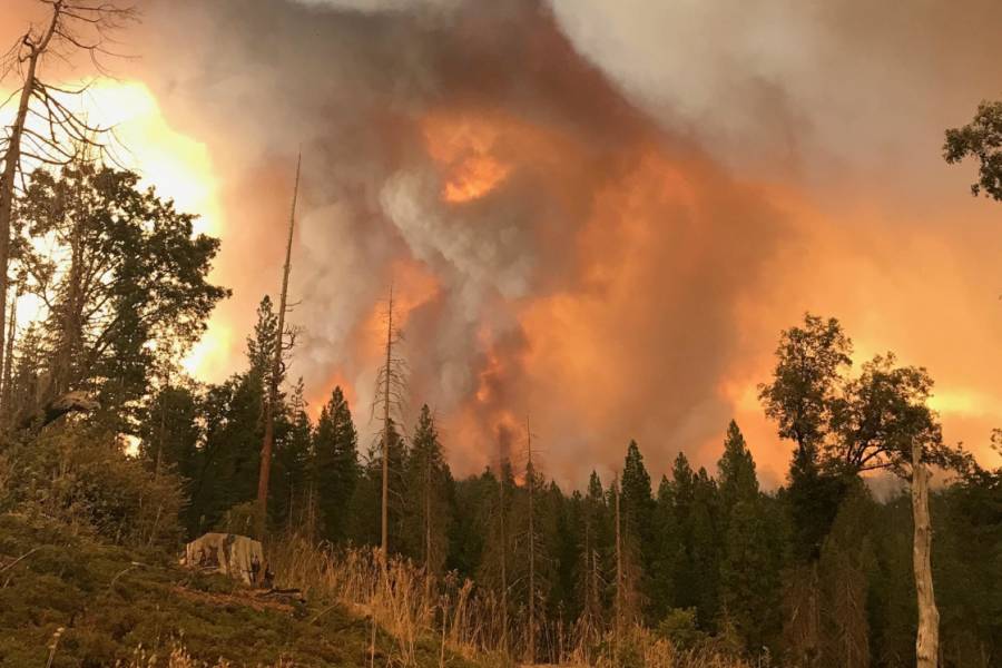 "Forró" hétvége: több helyen is pusztított a tűz a természetben