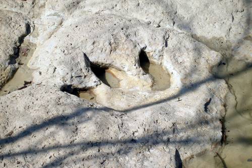 110 millió éves dinoszauruszleleteket fedett fel az aszály Texasban