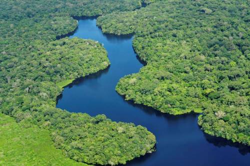 Norvégia 50 millió dollárt adományoz a brazil Amazonas-alapnak a csökkenő erdőirtás miatt