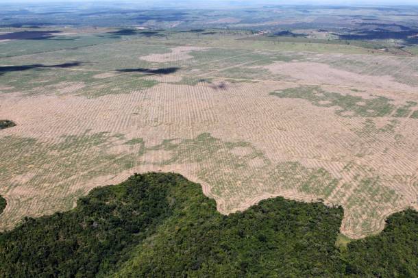 Erdőirtás az Amazonasnál
Forrás: en.wikipedia.org
Szerző: Ibama