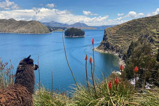 Titicaca-tó
Forrás: en.wikipedia.org
Szerző: EEJCC