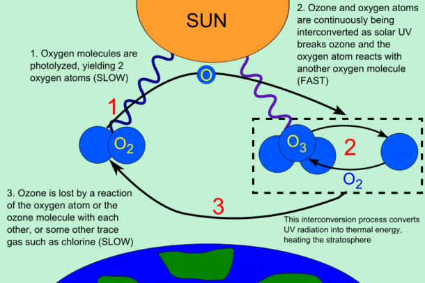 Az ózon körforgása
Forrás: wikipedia.org 