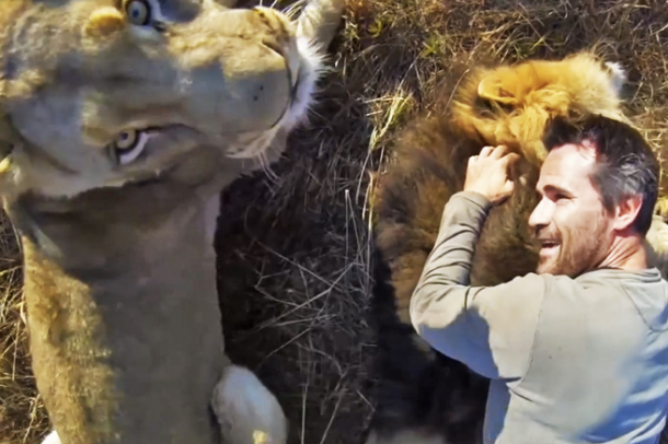 oroszlánokkal
Forrás: Youtube videó kép