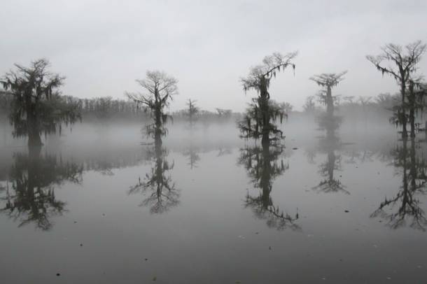 A Caddo-tó
Forrás: www.flickr.com
Szerző: Charlie Llewellin