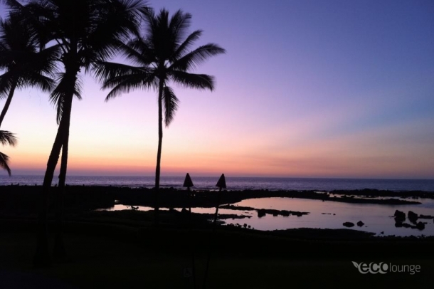Hawaii-naplemente
Szerző: Hauer Szilvia
