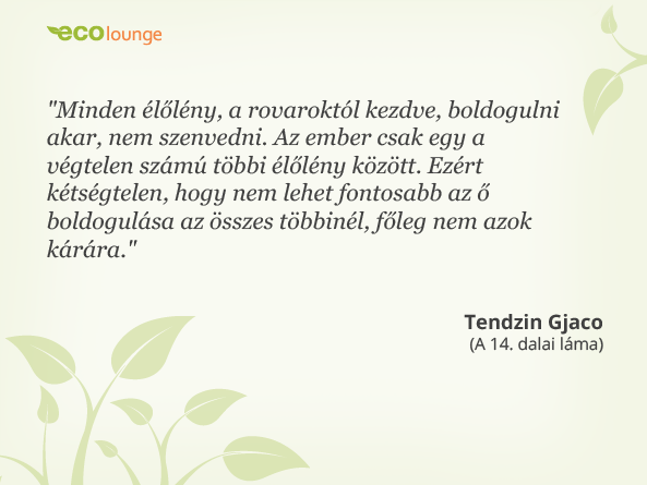 Idézet 14. dalai lámától