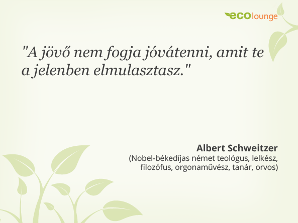Albert Schweitzer idézet