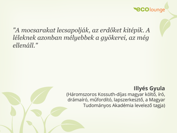 Illyés Gyula idézet