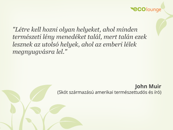 John Muir idézet