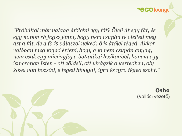Osho idézet