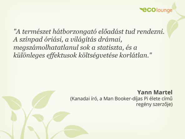 Yann Martel idézet
