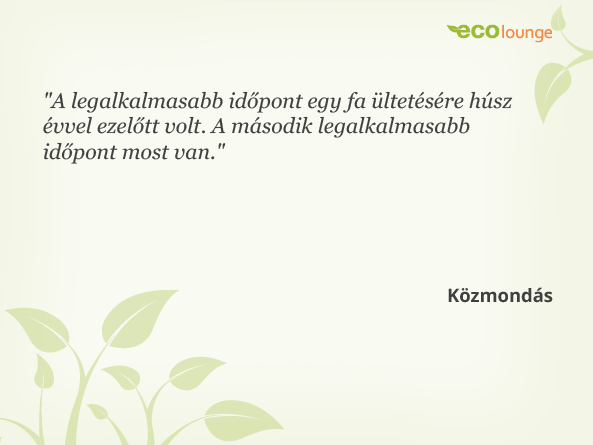 Közmondás - Fa ültetése