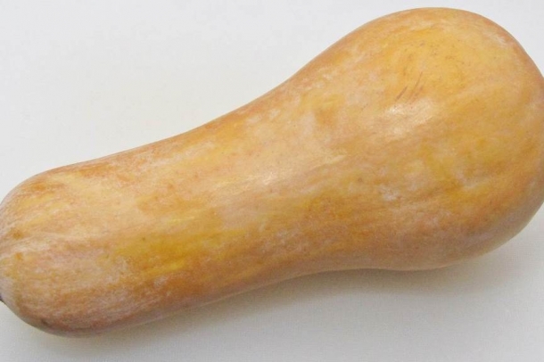 Sütőtök
Forrás: wikipedia.org
Szerző: Hajdú István László