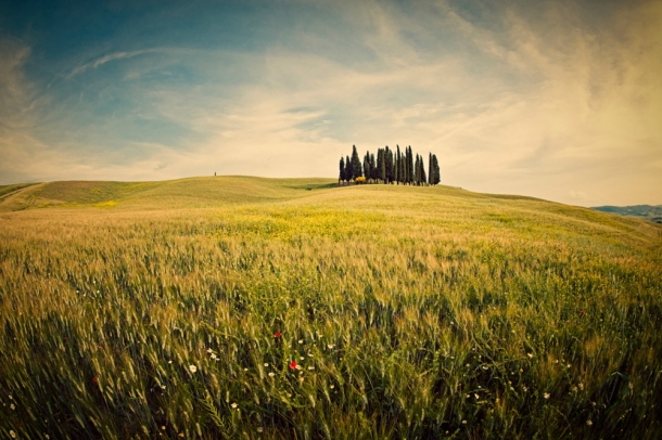 Olaszország
Forrás: allardschager.com