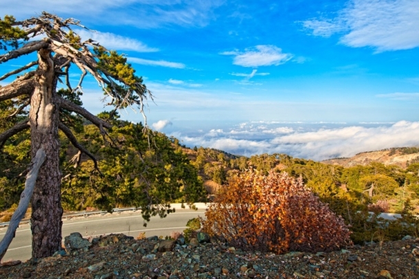 Tróodosz-hegység, Ciprus
Forrás: allardschager.com