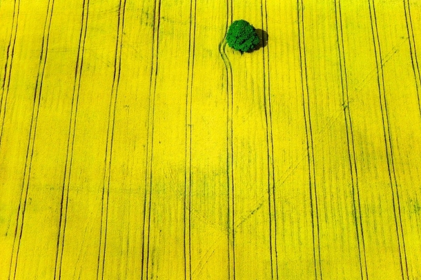 Klaus Leidorf alkotásai
Forrás: flickr.com