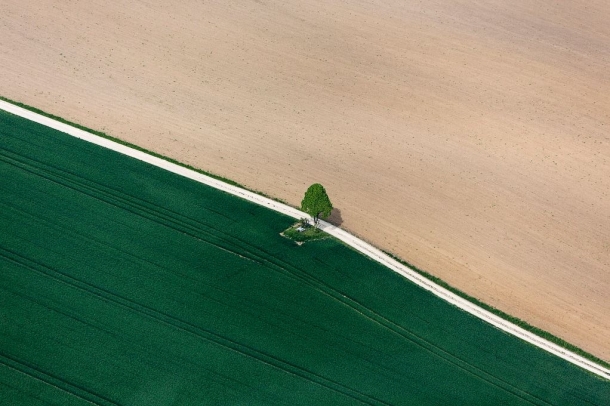 Minimalista
Forrás: flickr.com