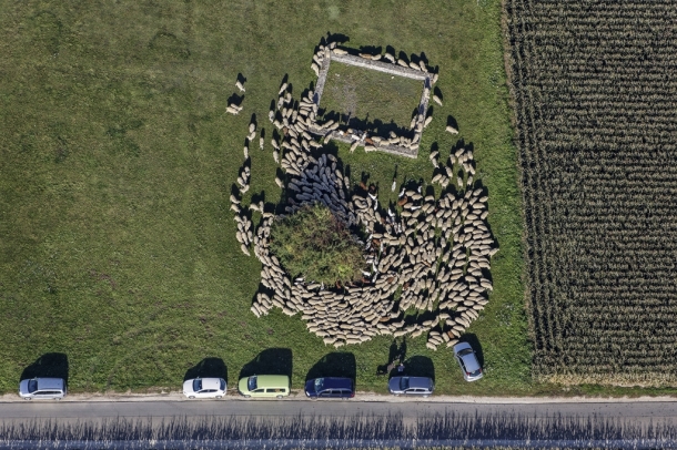 Terelgetés
Forrás: flickr.com