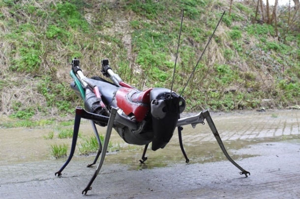 1,5 méteres szöcske
Forrás: hubcapcreatures.com
Szerző: Ptolemy Elrington