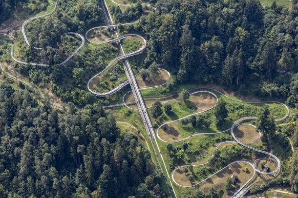 Bobpálya az erdő közepén