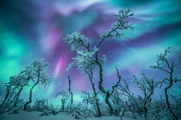 "Az űr hívása"
Forrás: checkmydream.fr
Szerző: Raspiengeas Nicolas