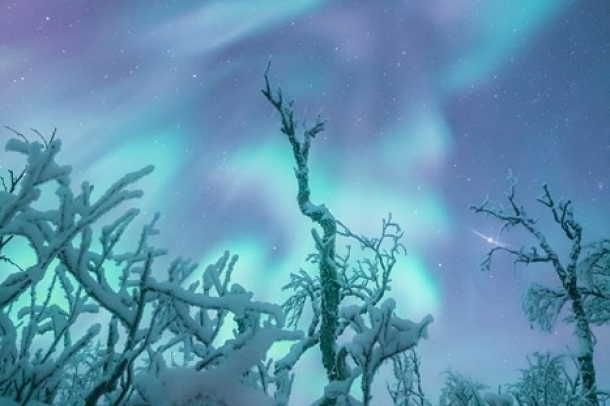 "Az erdő szelleme"
Forrás: checkmydream.fr