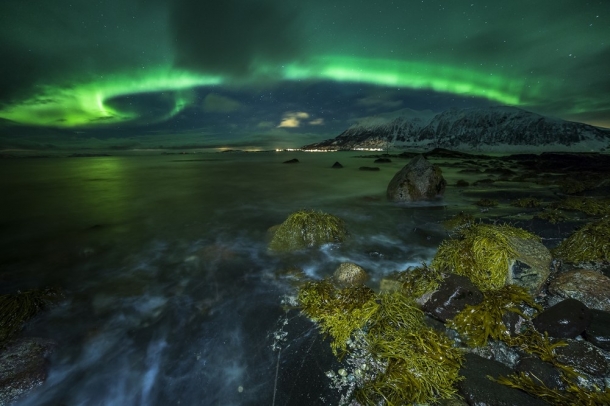 "Zöld kampó"
Forrás: checkmydream.fr