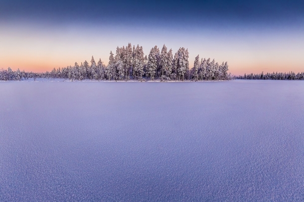 "Az erdő szélén"
Forrás: checkmydream.fr
Szerző: Raspiengeas Nicolas