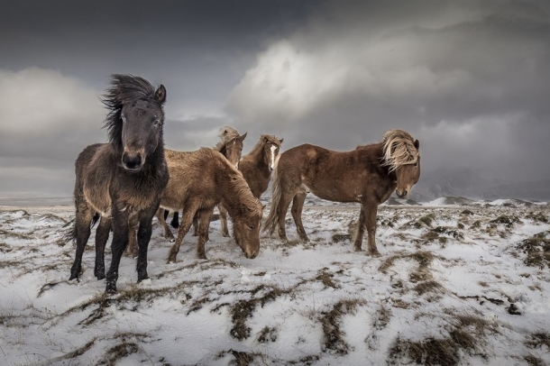 "Család"
Forrás: checkmydream.fr
Szerző: Raspiengeas Nicolas
