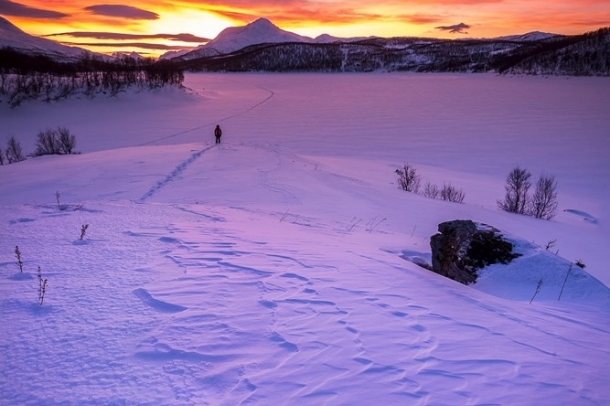 "Felfedező"
Forrás: checkmydream.fr
Szerző: Raspiengeas Nicolas