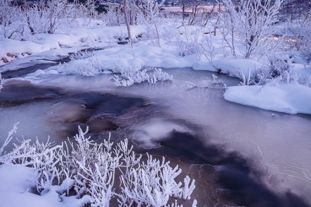 "Halott hely"
Forrás: checkmydream.fr
Szerző: Raspiengeas Nicolas