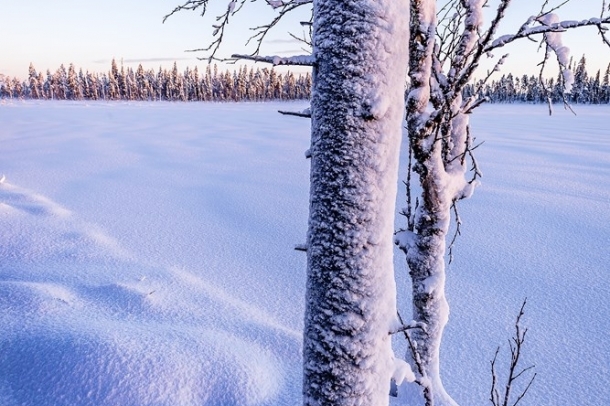 "Hófödte világ"
Forrás: checkmydream.fr
Szerző: Raspiengeas Nicolas