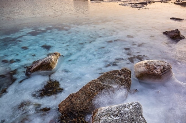 "Jéglak"
Forrás: checkmydream.fr
Szerző: Raspiengeas Nicolas