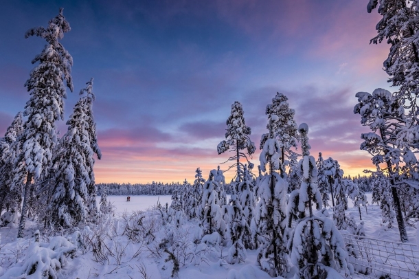 "Mézes hetek"
Forrás: checkmydream.fr
Szerző: Raspiengeas Nicolas