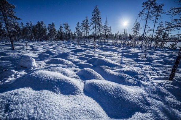 "Végtelen erdő"
Forrás: checkmydream.fr
Szerző: Raspiengeas Nicolas