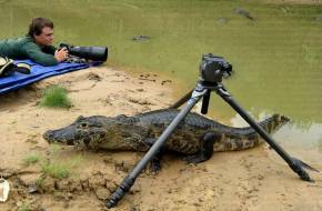 Máté Bence az év természetfotósa