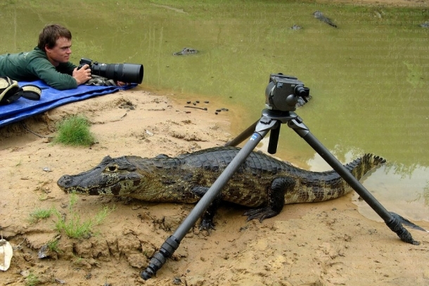 Csak nyugi
Forrás: matebence.hu