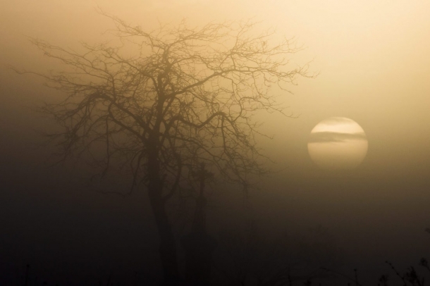 Egy feszület és egy fa a felkelő Nap előtt a Medves-fennsíkon Salgótarján közelében.
Forrás: MTI
Szerző: Komka Péter