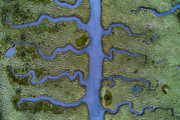 Magyar Sajtófotó Pályázat - Kihirdették az idei díjazottakat