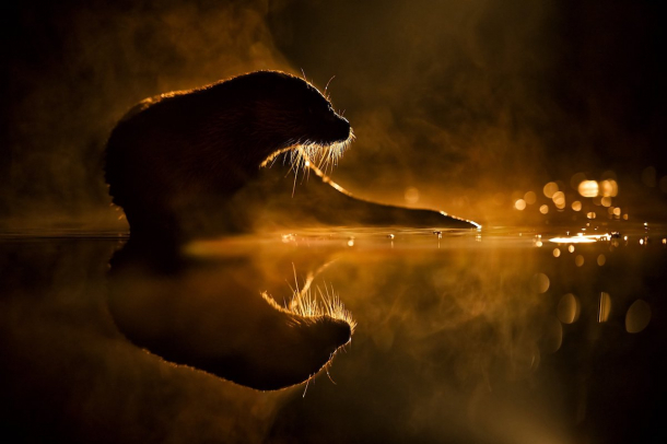 Máté Bence fotója
Forrás: MTI
Szerző: Máté Bence