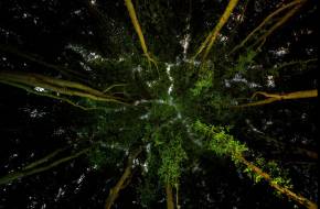 Megválasztották az Év Környezetvédelmi Fotósát!