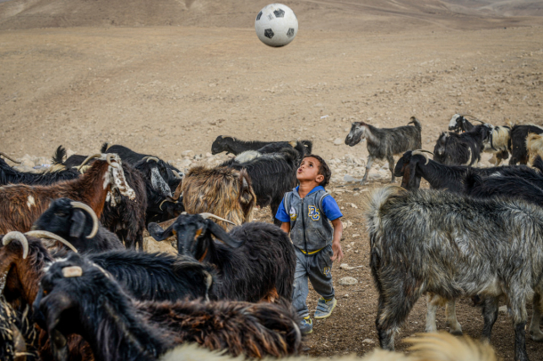 Foci a kecskenyáj közepén
Forrás: mti.hu
Szerző: Kallos Bea